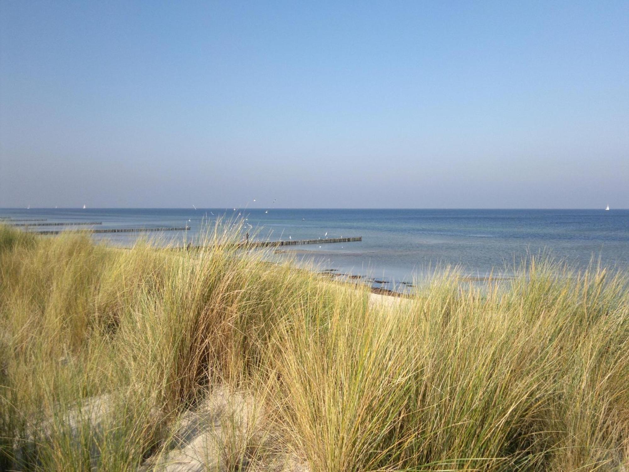 Boutique Bungalow In Insel Poel With Terrace Buitenkant foto